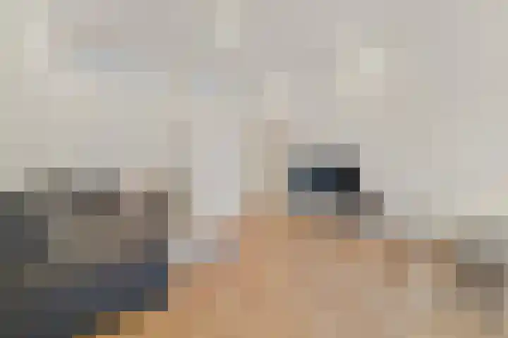 Adriaan Pauwstraat 10 Delft thumbnail 5
