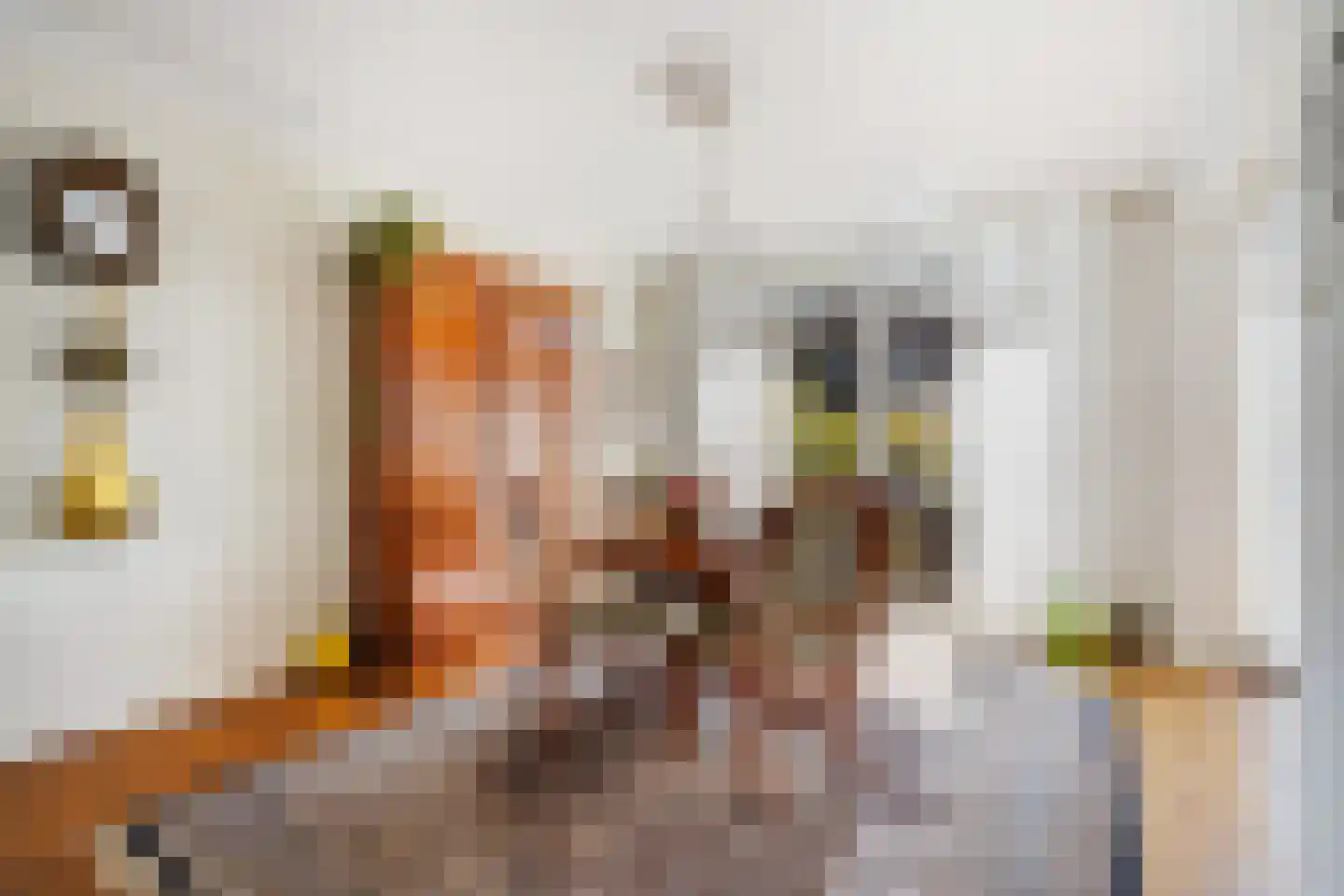 Adriaan Pauwstraat 13 Delft thumbnail 12