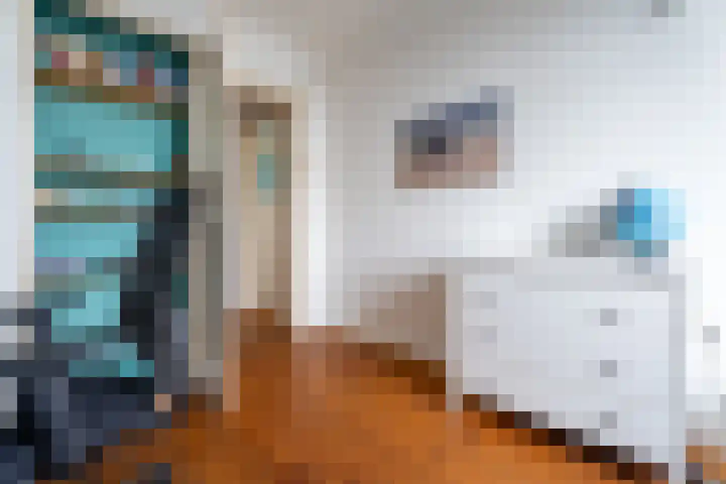 Adriaan Pauwstraat 14 Delft thumbnail 24