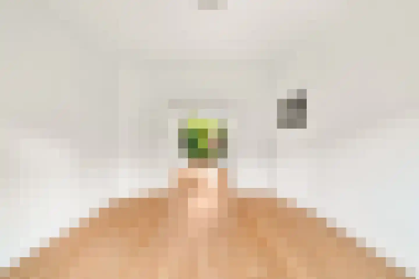 Adriaan Pauwstraat 16 Wassenaar thumbnail 7