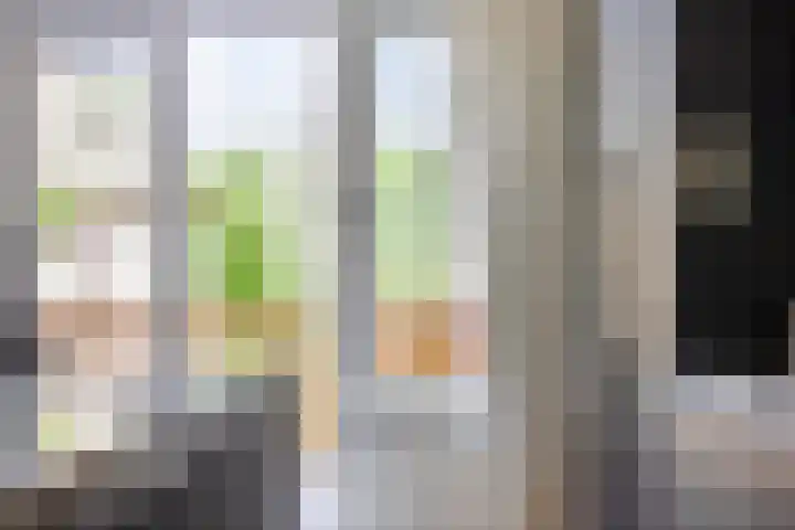 Adriaan Pauwstraat 24 Den Haag thumbnail 7
