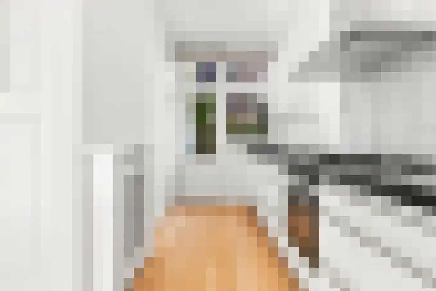 Adriaan Pauwstraat 26 A Den Haag thumbnail 15