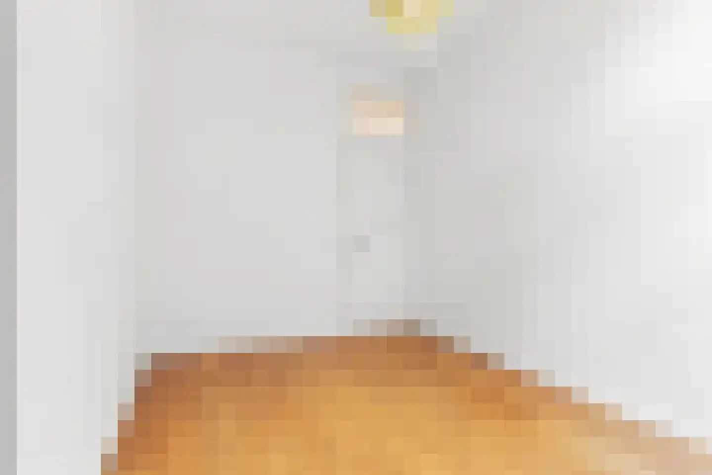 Adriaan Pauwstraat 26 A Den Haag thumbnail 22
