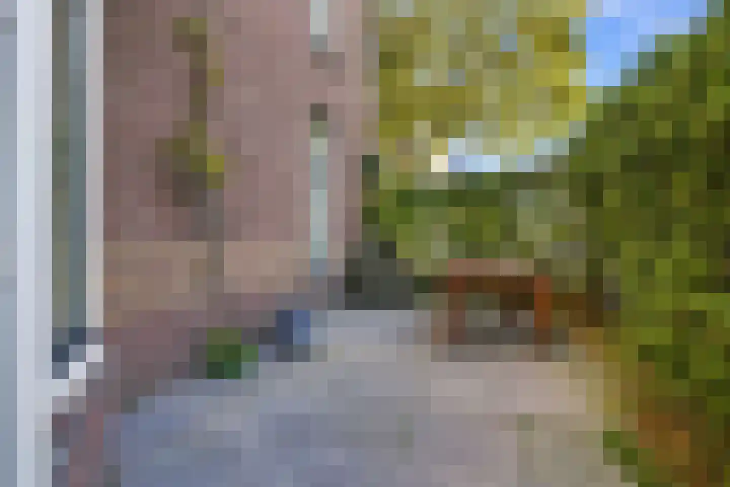 Adriaan Pauwstraat 26 A Den Haag thumbnail 6