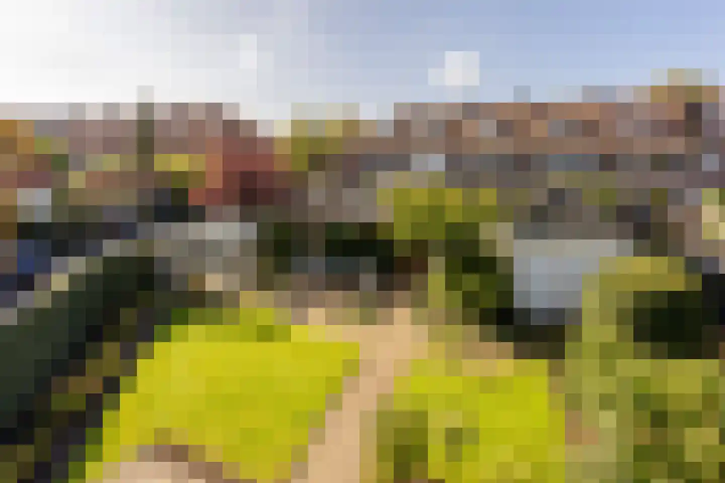 Adriaan Pauwstraat 3 Wassenaar thumbnail 24