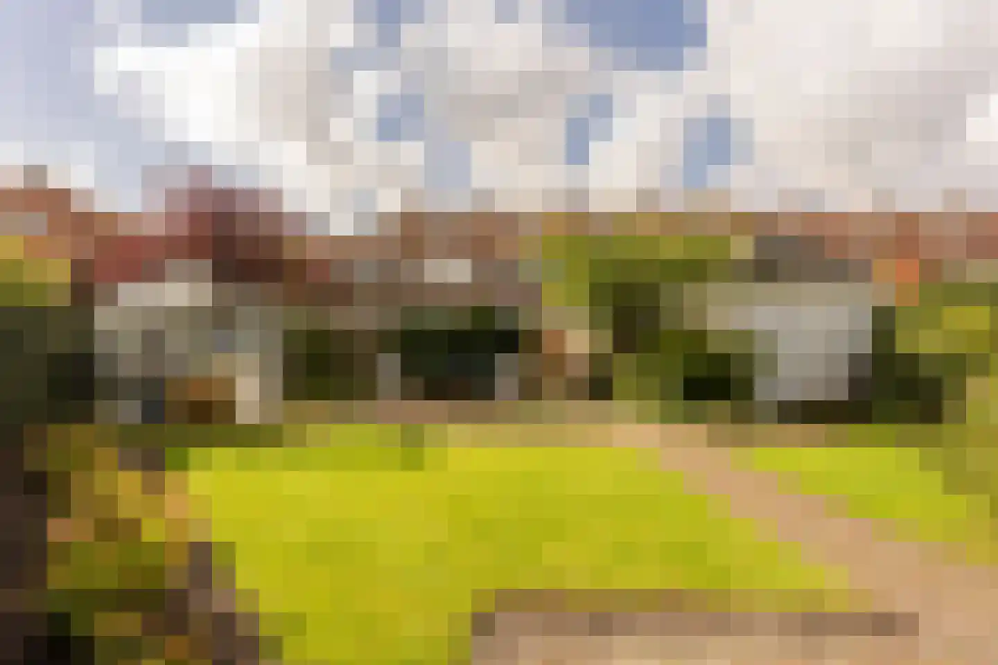 Adriaan Pauwstraat 3 Wassenaar thumbnail 35
