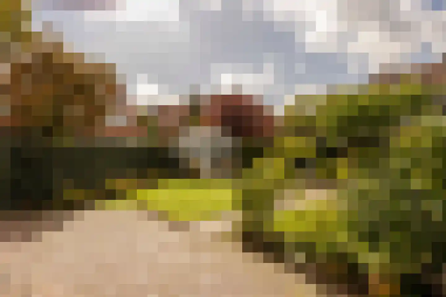 Adriaan Pauwstraat 3 Wassenaar thumbnail 36