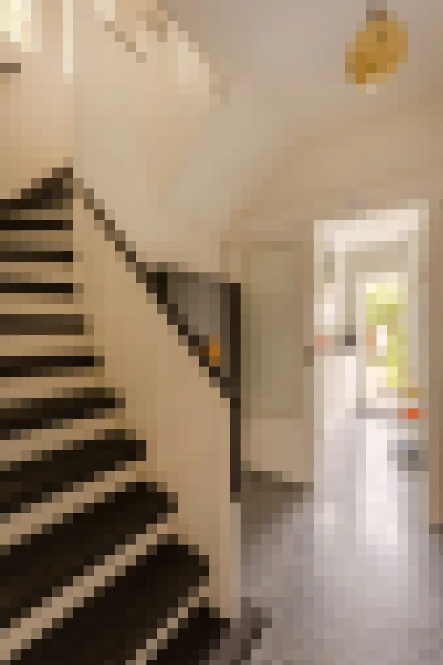 Adriaan Pauwstraat 3 Wassenaar thumbnail 8