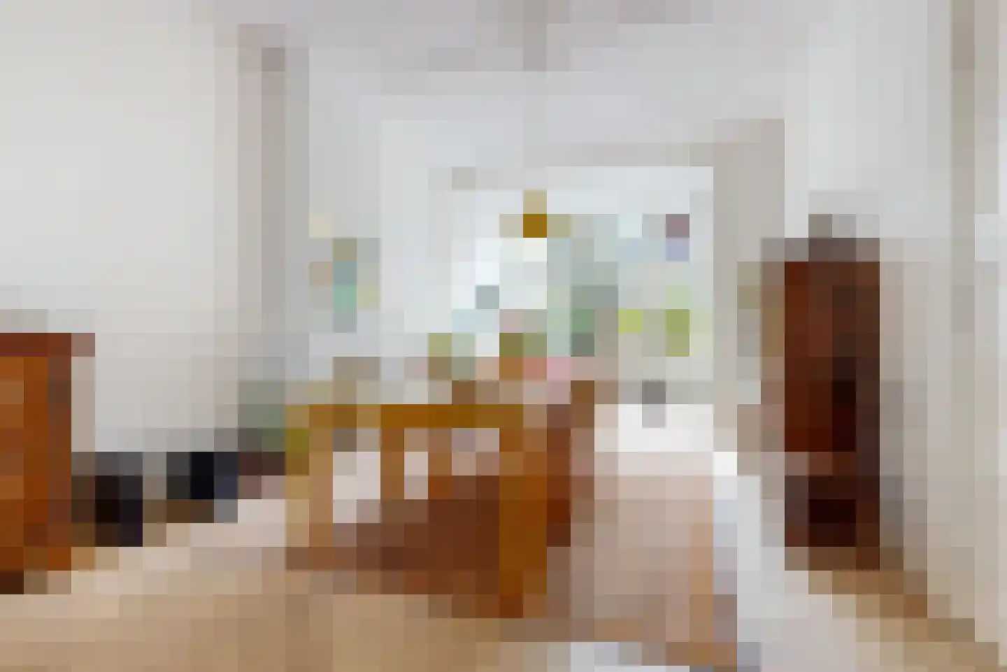 Adriaan Pauwstraat 35 Den Haag thumbnail 6