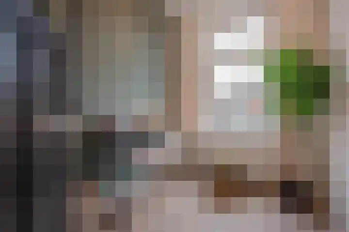 Adriaan Pauwstraat 6 Delft thumbnail 19