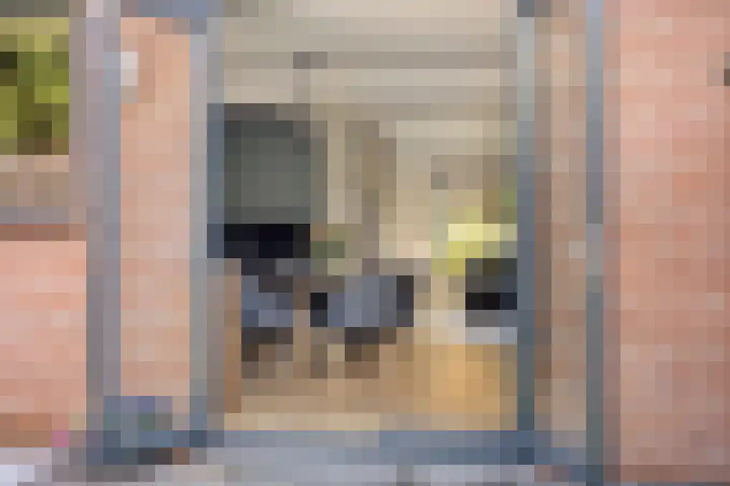 Adriaan Pauwstraat 9 Zwolle thumbnail 31