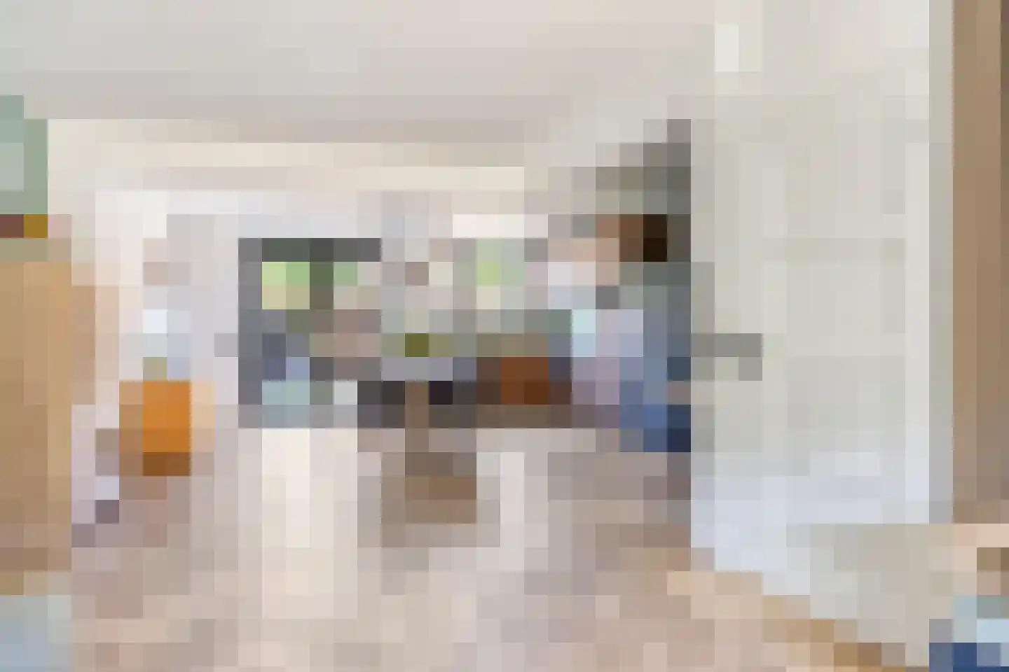 Adriaan Pauwstraat 9 Zwolle thumbnail 9