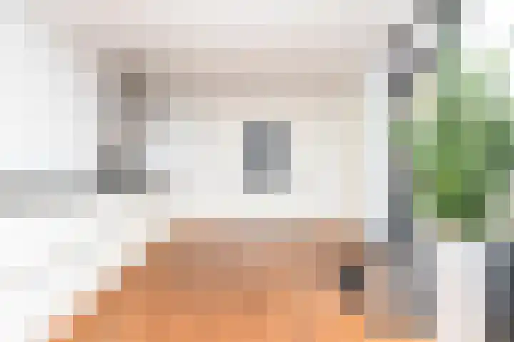 Adriaan Pieterslaan 21 Hendrik-Ido-Ambacht thumbnail 20