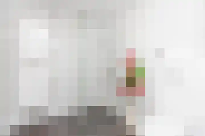 Adriaan Pieterslaan 21 Hendrik-Ido-Ambacht thumbnail 27