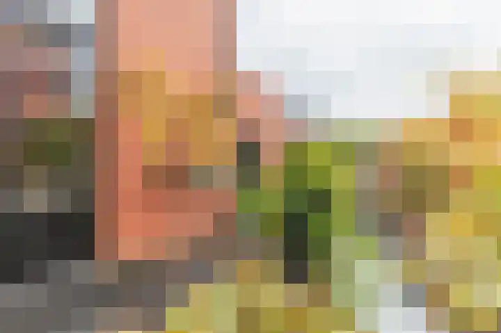 Adriaan Pieterslaan 21 Hendrik-Ido-Ambacht thumbnail 32