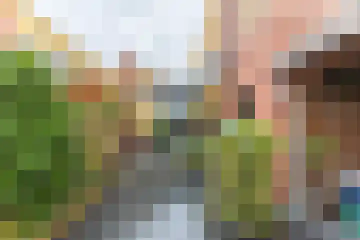 Adriaan Pieterslaan 21 Hendrik-Ido-Ambacht thumbnail 34