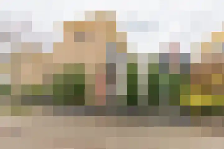 Adriaan Pieterslaan 21 Hendrik-Ido-Ambacht thumbnail 37