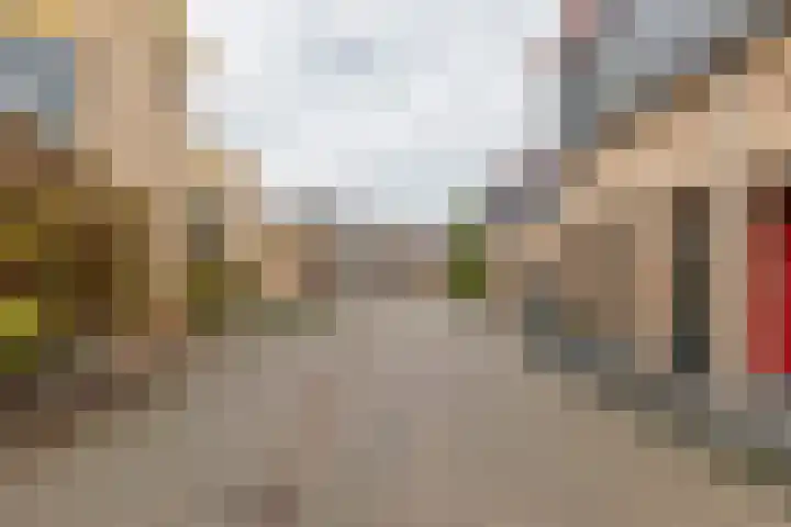 Adriaan Pieterslaan 21 Hendrik-Ido-Ambacht thumbnail 39