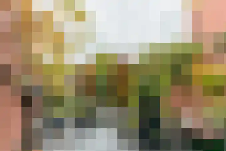 Adriaan Pieterslaan 21 Hendrik-Ido-Ambacht thumbnail 4
