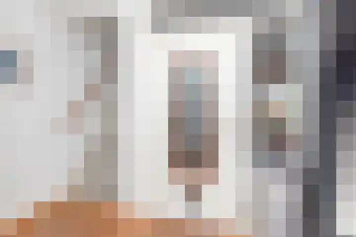Adriaan Pieterslaan 21 Hendrik-Ido-Ambacht thumbnail 7
