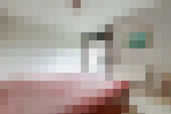 Adriaan Pieterslaan 25 Hendrik-Ido-Ambacht thumbnail 17