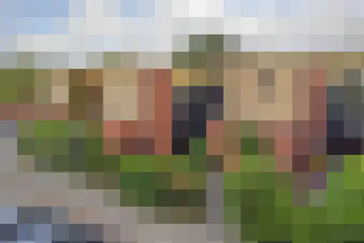 Adriaan Pieterslaan 25 Hendrik-Ido-Ambacht thumbnail 31