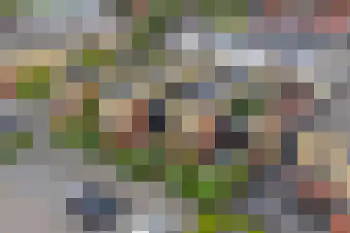 Adriaan Pieterslaan 25 Hendrik-Ido-Ambacht thumbnail 32