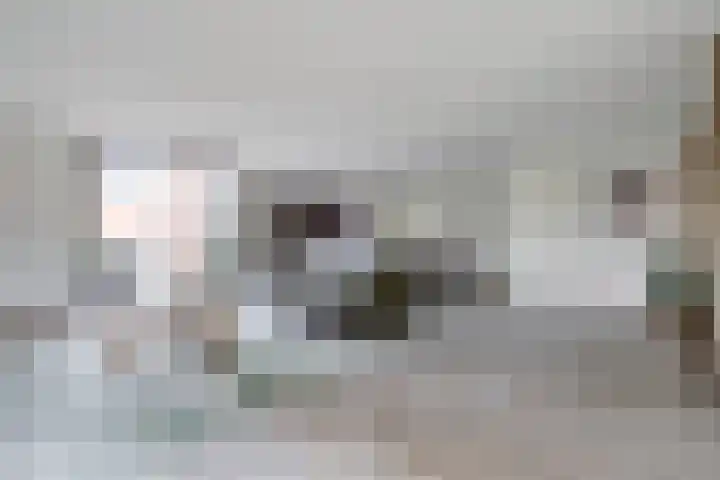 Adriaan Pieterslaan 25 Hendrik-Ido-Ambacht thumbnail 7