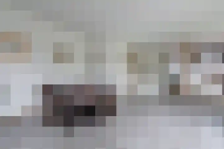 Adriaan Pieterslaan 25 Hendrik-Ido-Ambacht thumbnail 8
