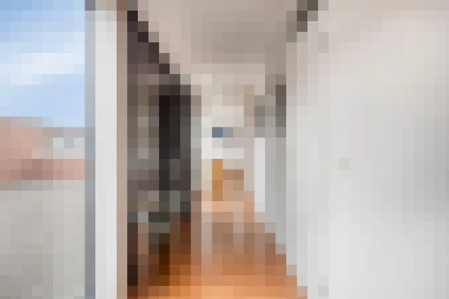 Adriaan Pieterslaan 29 Hendrik-Ido-Ambacht thumbnail 20