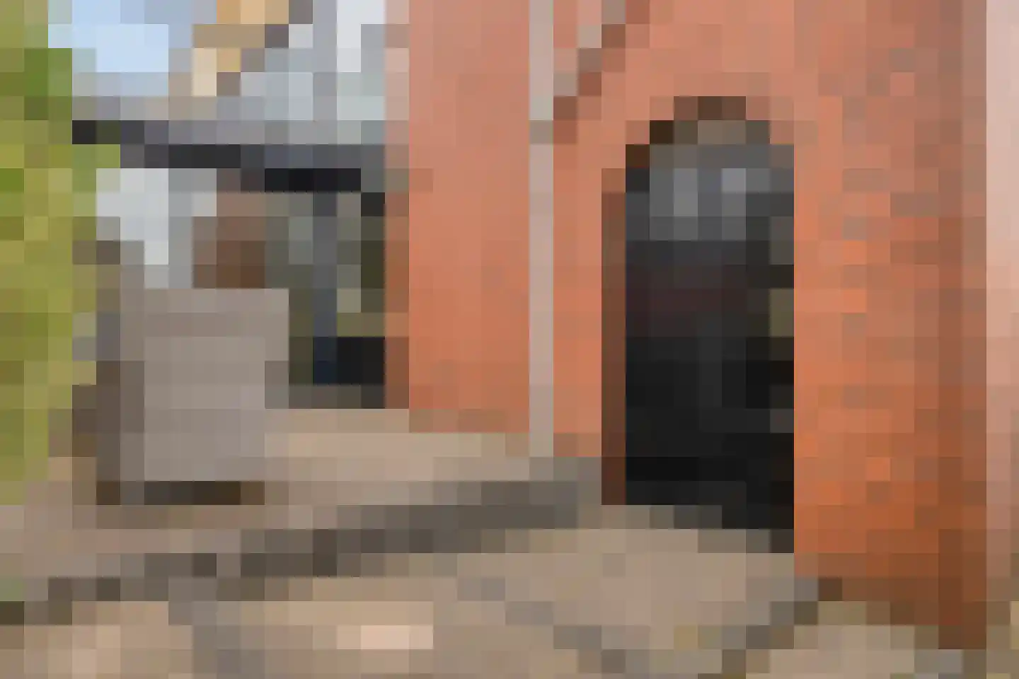 Adriaan Pieterslaan 29 Hendrik-Ido-Ambacht thumbnail 35