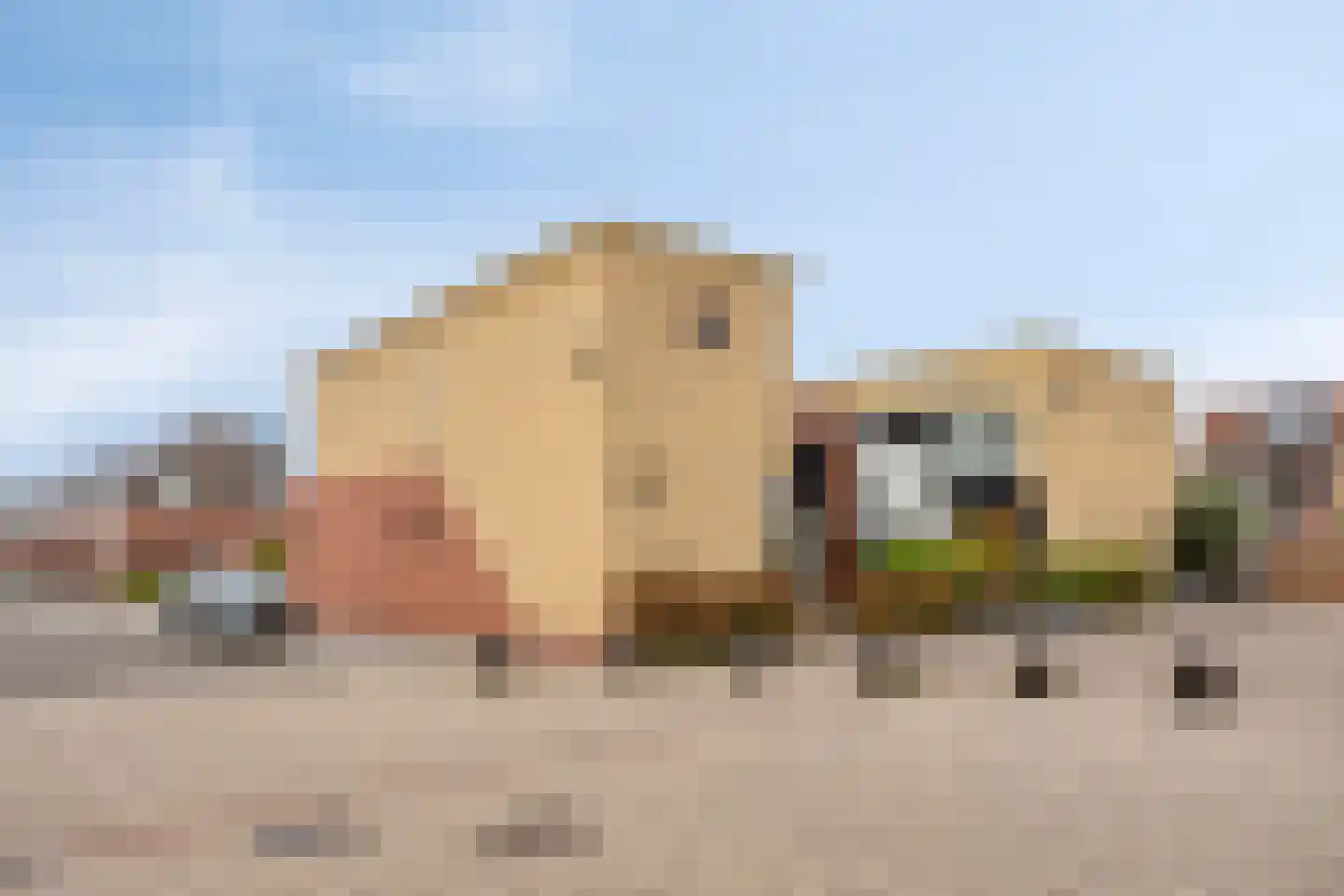Adriaan Pieterslaan 29 Hendrik-Ido-Ambacht thumbnail 4