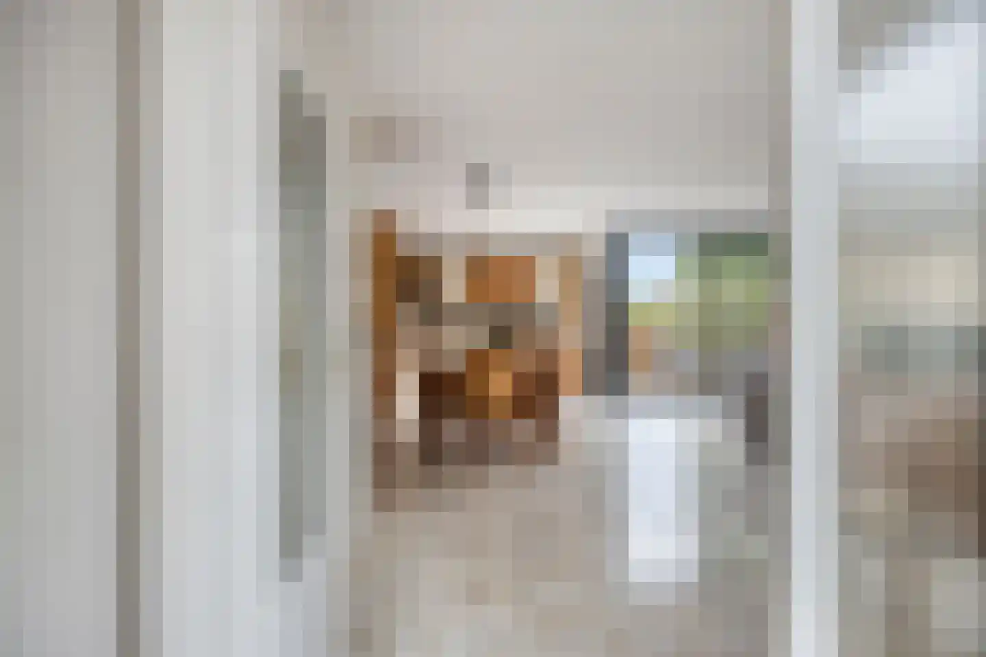 Adriaan Pieterslaan 29 Hendrik-Ido-Ambacht thumbnail 7