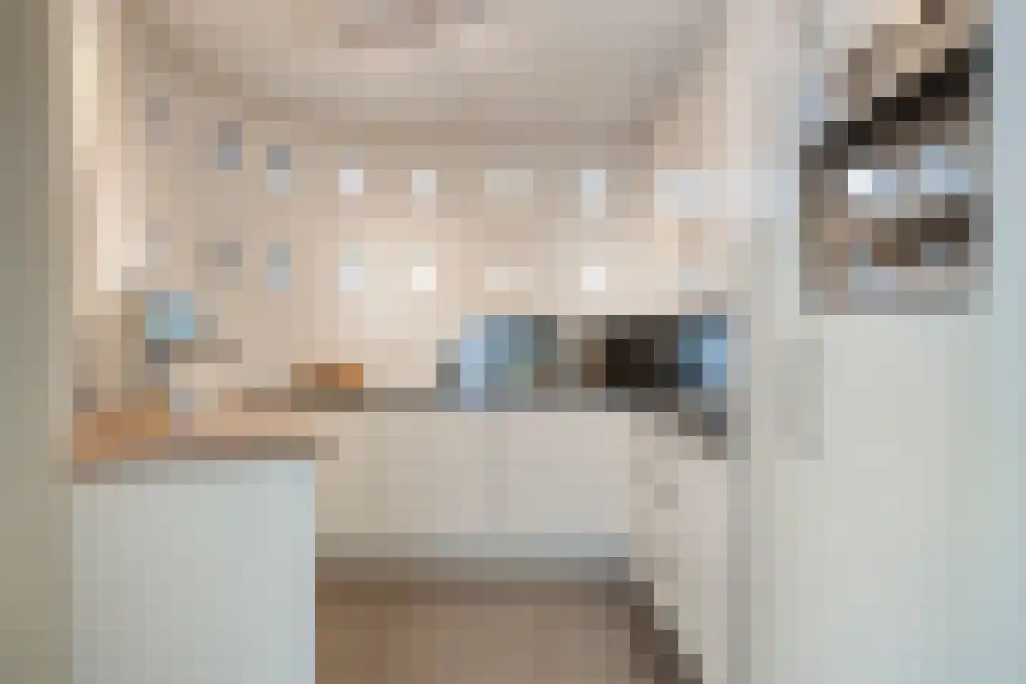 Adriaan Pieterslaan 48 Hendrik-Ido-Ambacht thumbnail 10
