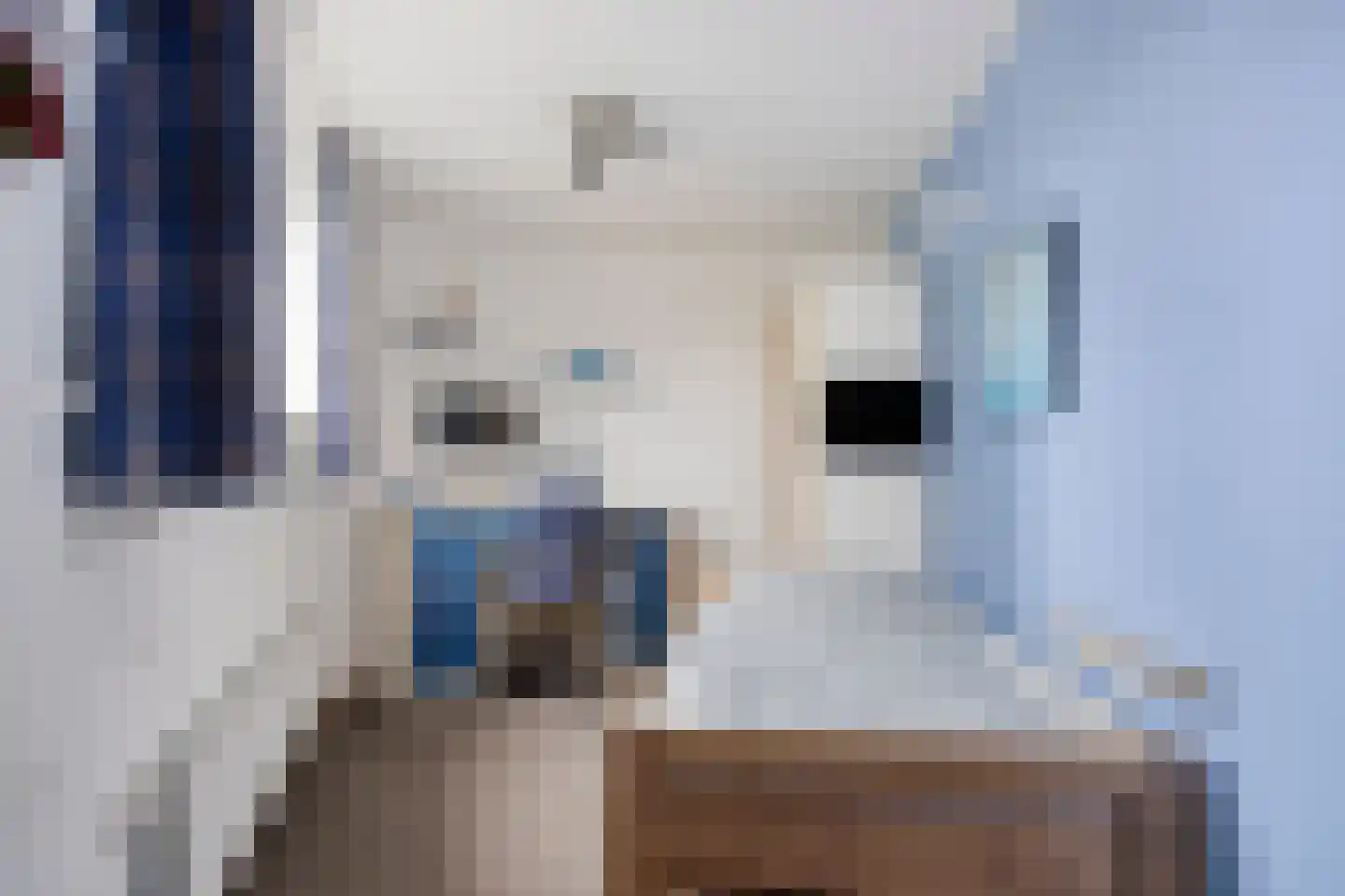 Adriaan Pieterslaan 48 Hendrik-Ido-Ambacht thumbnail 18