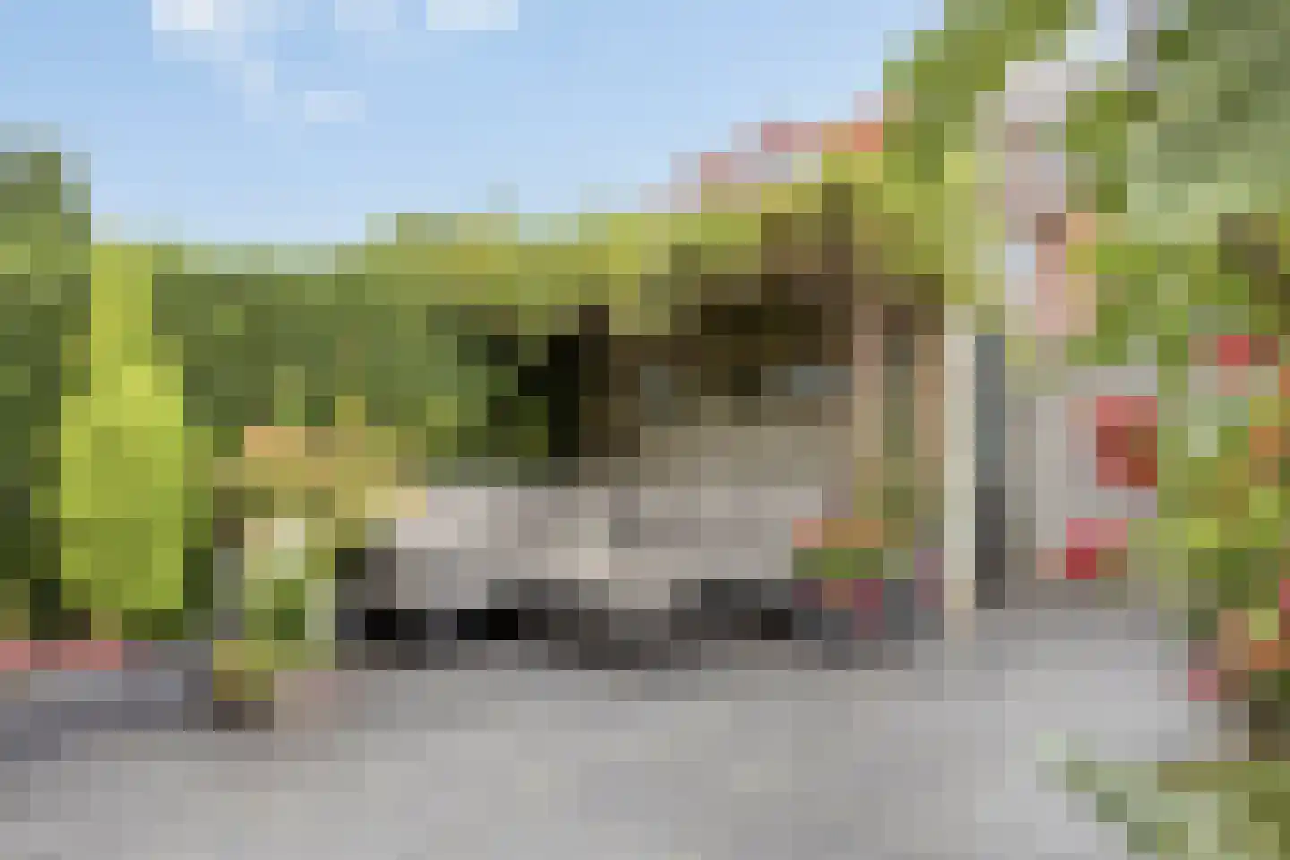 Adriaan Pieterslaan 48 Hendrik-Ido-Ambacht thumbnail 30