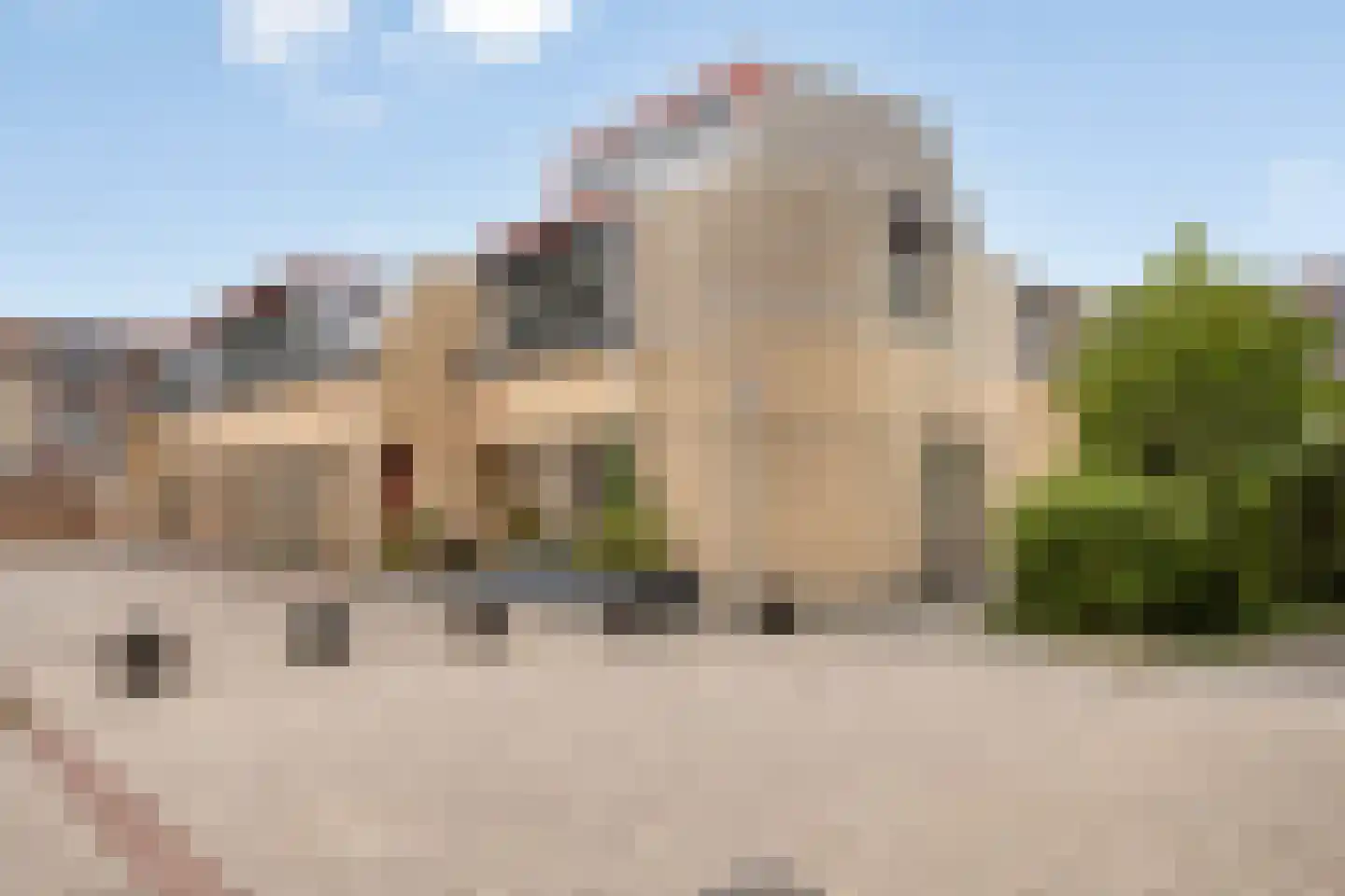 Adriaan Pieterslaan 48 Hendrik-Ido-Ambacht thumbnail 37