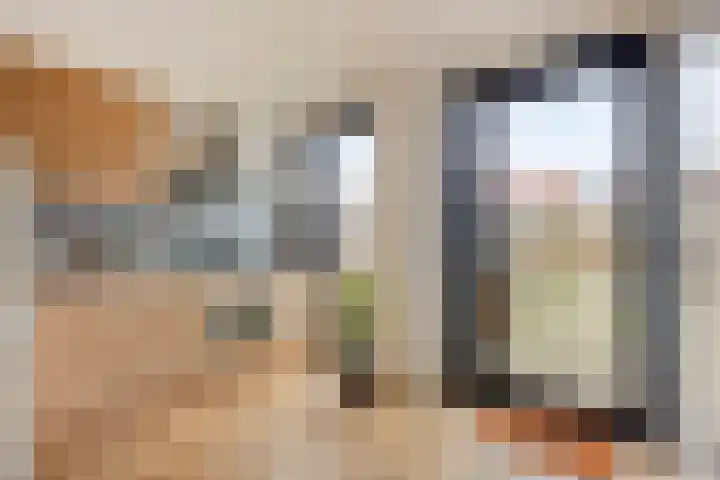 Adriaan Pieterslaan 8 Hendrik-Ido-Ambacht thumbnail 11
