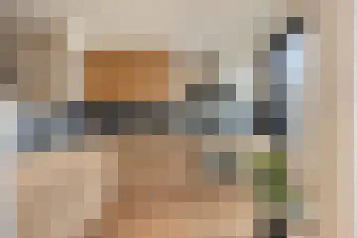Adriaan Pieterslaan 8 Hendrik-Ido-Ambacht thumbnail 12