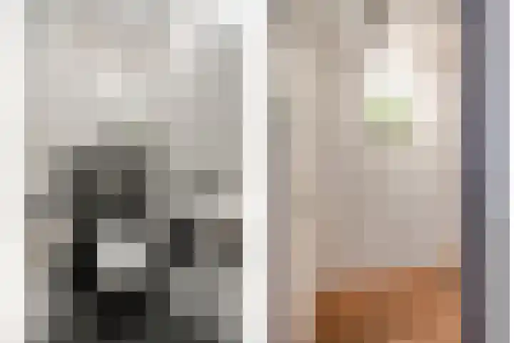 Adriaan Pieterslaan 8 Hendrik-Ido-Ambacht thumbnail 15