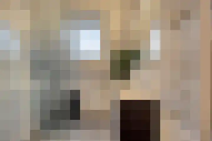 Adriaan Pieterslaan 8 Hendrik-Ido-Ambacht thumbnail 21