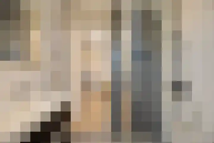 Adriaan Pieterslaan 8 Hendrik-Ido-Ambacht thumbnail 22