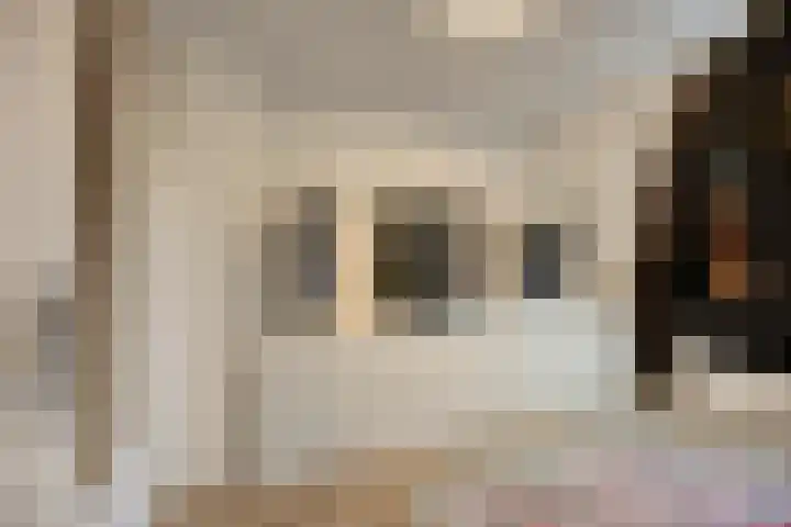 Adriaan Pieterslaan 8 Hendrik-Ido-Ambacht thumbnail 23