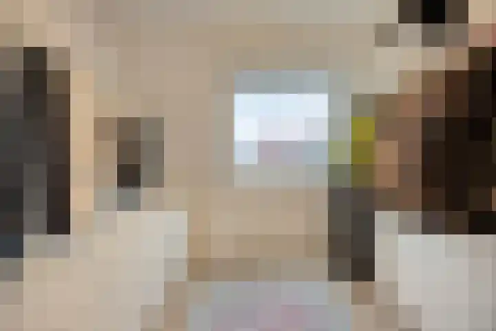 Adriaan Pieterslaan 8 Hendrik-Ido-Ambacht thumbnail 24