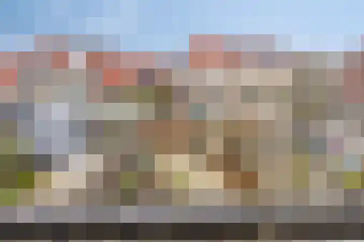 Adriaan Pieterslaan 8 Hendrik-Ido-Ambacht thumbnail 26