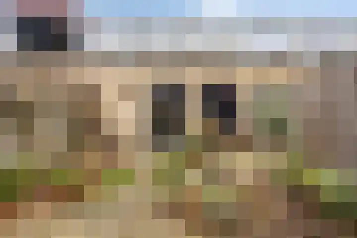 Adriaan Pieterslaan 8 Hendrik-Ido-Ambacht thumbnail 27