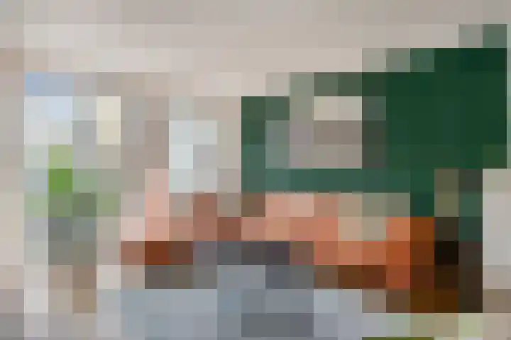 Adriaan Pieterslaan 8 Hendrik-Ido-Ambacht thumbnail 5