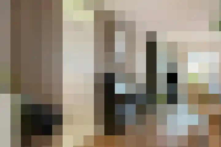Adriaan Pieterslaan 8 Hendrik-Ido-Ambacht thumbnail 8