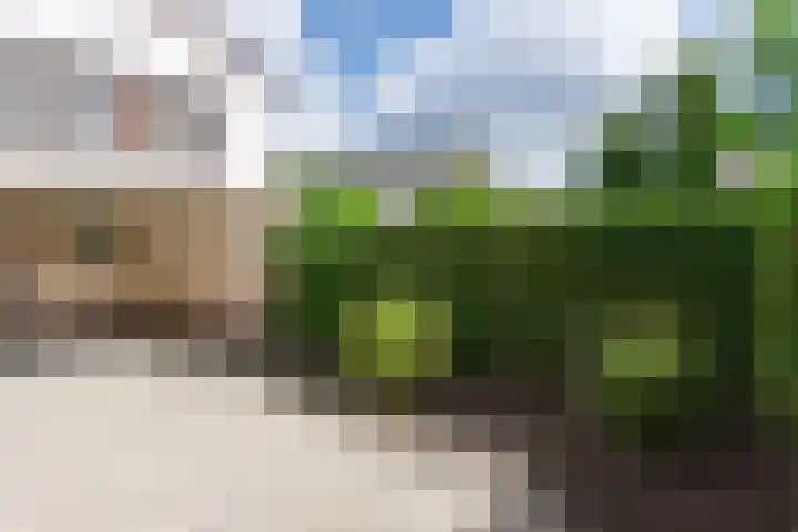 Adriaan Poirtersstraat 12 Bergen op Zoom thumbnail 16