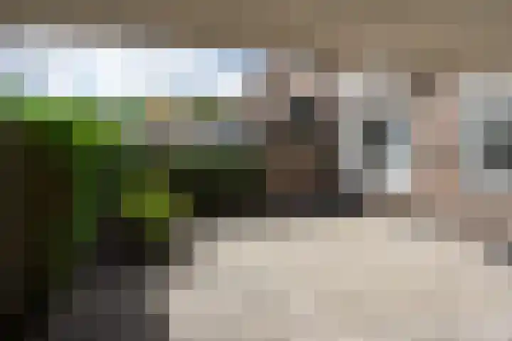 Adriaan Poirtersstraat 12 Bergen op Zoom thumbnail 20